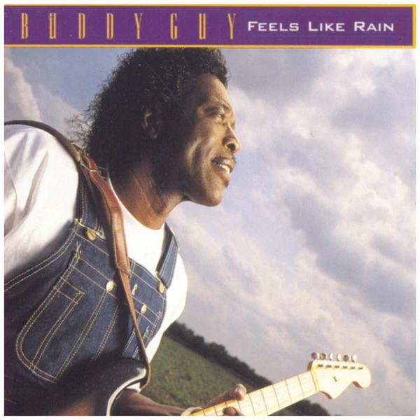 Feels Like Rain [CD]