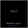 Spirit...: Christmas Classics [CD]