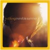 Invincible Summer [CD]