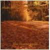 Journeys - Music for Relaxation and Reflection [CD]