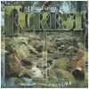 Ambient Forest - The Ultimate Sounds of Nature [CD]
