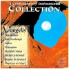 Contemporary Instrumental Collection [CD]