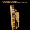 Walter Murphy / Rhapsody in Blue [Vinyl]