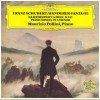 Schubert: Wanderer, Fantasy, Piano Sonata in A Minor D.845 [Vinyl]