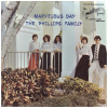 Marvellous Day [Vinyl]