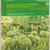 Paderewski: Fantaisie Polonaise; Arensky: Concerto For Piano and Orchestra (Russian) Op.2 [Vinyl]