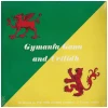 Gymanfa Ganu and Ceilidh 1974 [Vinyl]