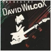 Best of David Wilcox [Vinyl]