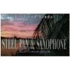 Steel Pan & Saxophone Classic [Tape]