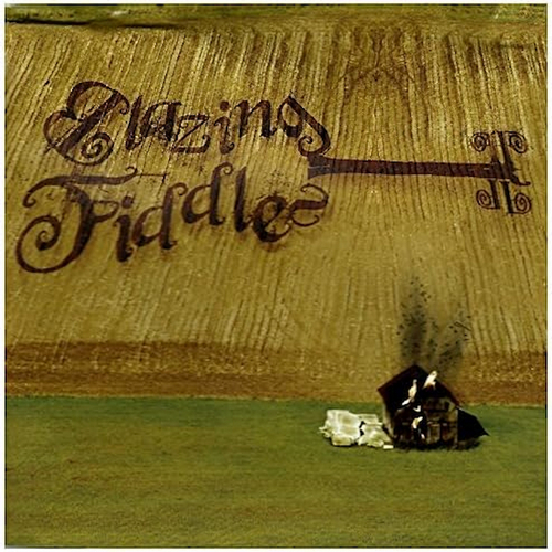 Everything But the Kitchen Sink [CD]