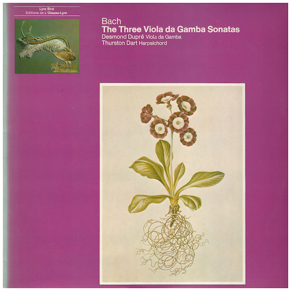 Bach: The Three Viola da Gamba Sonatas