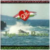 Jigs and Reels - OzFM