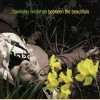 Between the Beautifuls [CD]