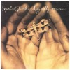 Dragonfly Summer [CD]