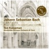 Bach: Cantatas Highlights (2 CDs) [CD]