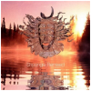Shpongle Remixed [CD]