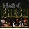 A Breath of Fresh Eire [CD]