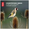 Countryside Birds: An Audio Guide to the Bird Sounds of the British Countryside - CD with Booklet