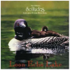 Solitudes: Loon Echo Lake